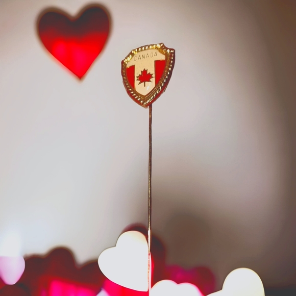Beautiful vintage Canada stick pin - Picture 1 of 1